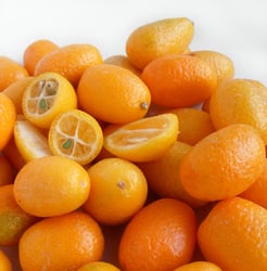Photo 2 of Citrus mitis