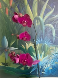 Photo 1 of Moth Orchid